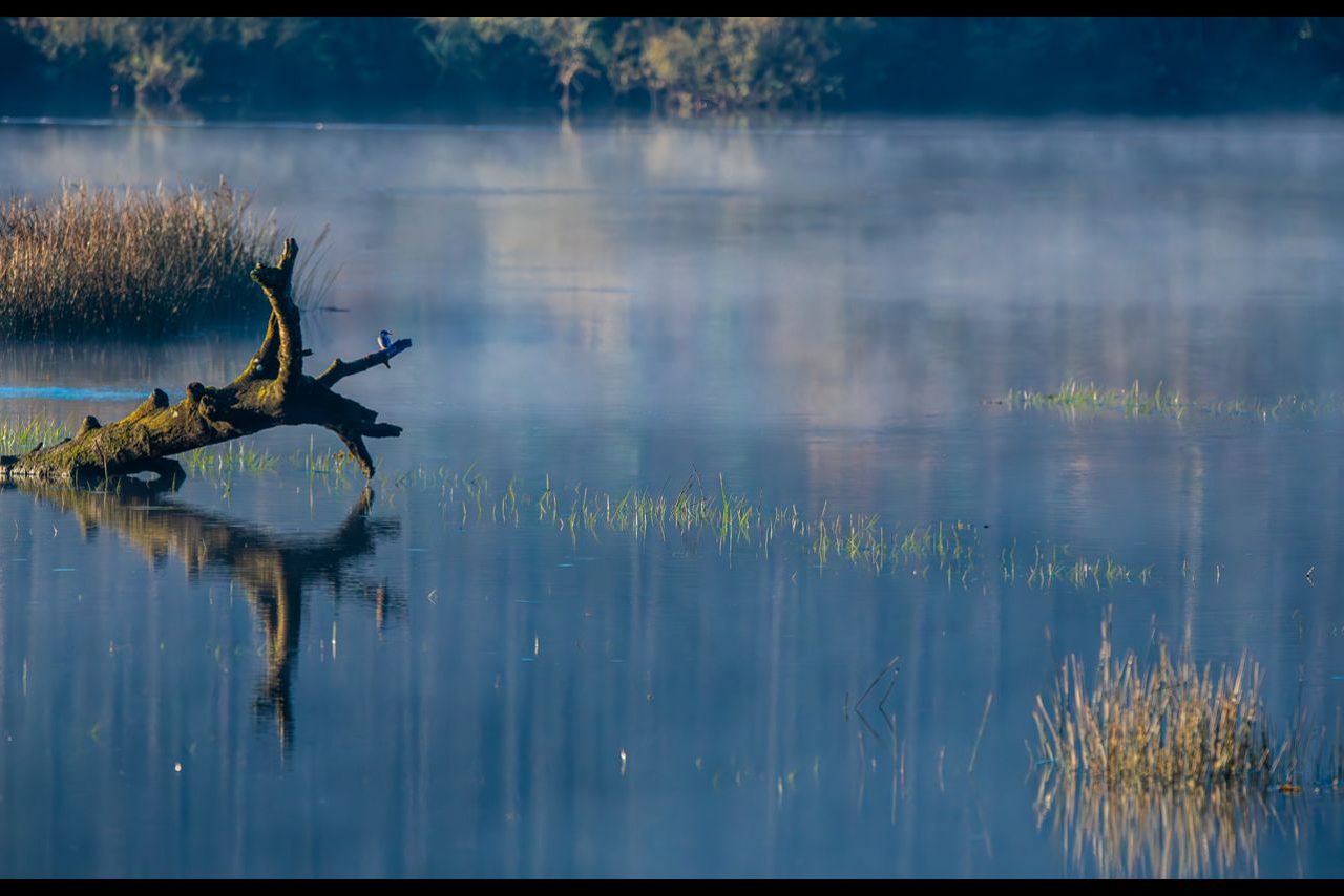 Reflejos @Claudio Carles