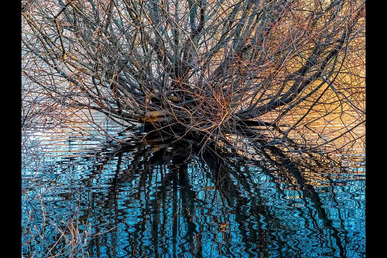 Reflejos @Francisco Javier Bru