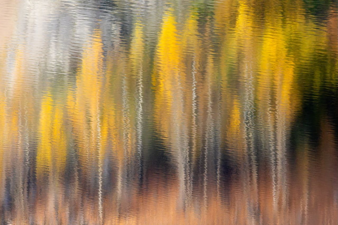 Reflejos de otoño @Fernando Prieto