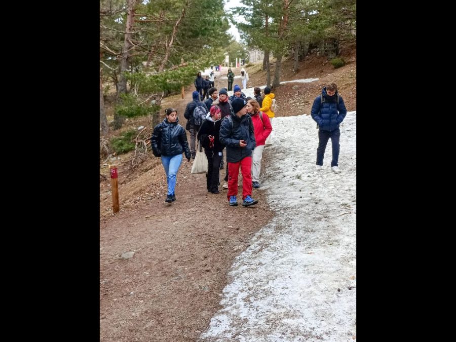 Fotos de Fundación Desea en una salida por Navacerrada con los alumnos del IES Jaime Ferrán, organizada por la Fundación DeseaFotos de Fundación Desea en una salida por Navacerrada con los alumnos del IES Jaime Ferrán, organizada por la Fundación Desea
