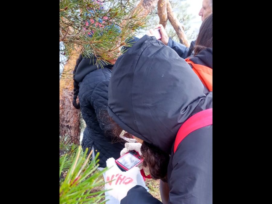 Fotos de Fundación Desea en una salida por Navacerrada con los alumnos del IES Jaime Ferrán, organizada por la Fundación Desea