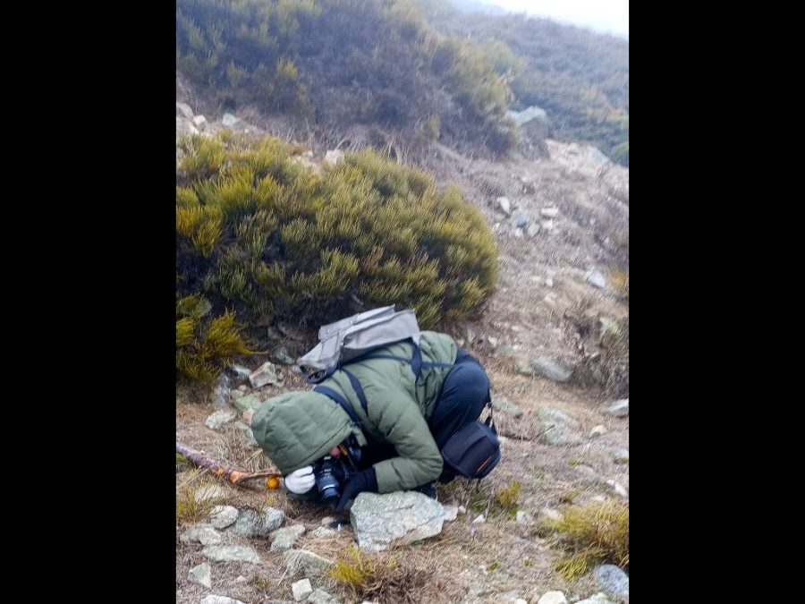 Fotos de Fundación Desea en una salida por Navacerrada con los alumnos del IES Jaime Ferrán, organizada por la Fundación Desea