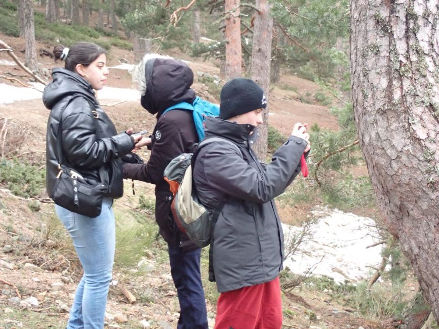 Fotos de Fundación Desea en una salida por Navacerrada con los alumnos del IES Jaime Ferrán, organizada por la Fundación Desea