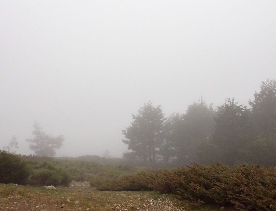 Fotos de Guillermo en una salida por Navacerrada con los alumnos del IES Jaime Ferrán, organizada por la Fundación Desea