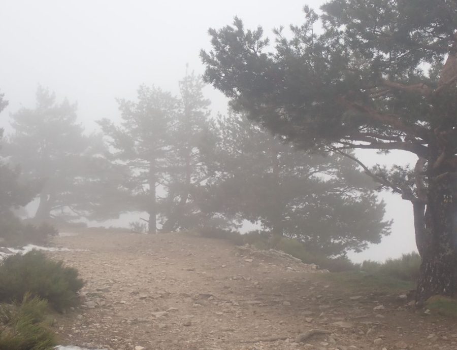 Fotos de Helena en una salida por Navacerrada con los alumnos del IES Jaime Ferrán, organizada por la Fundación Desea