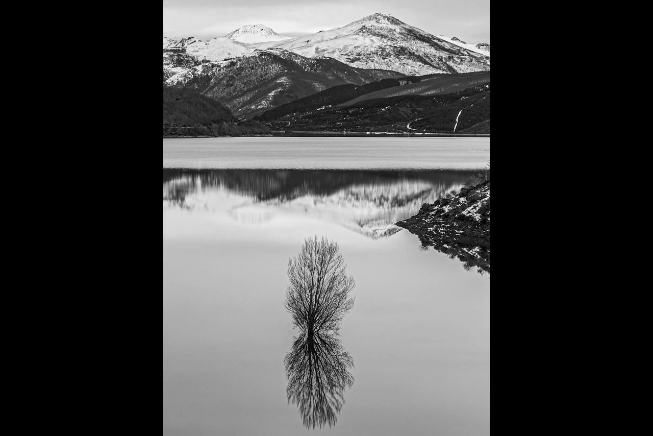 Reflejos @José Miguel Martínez