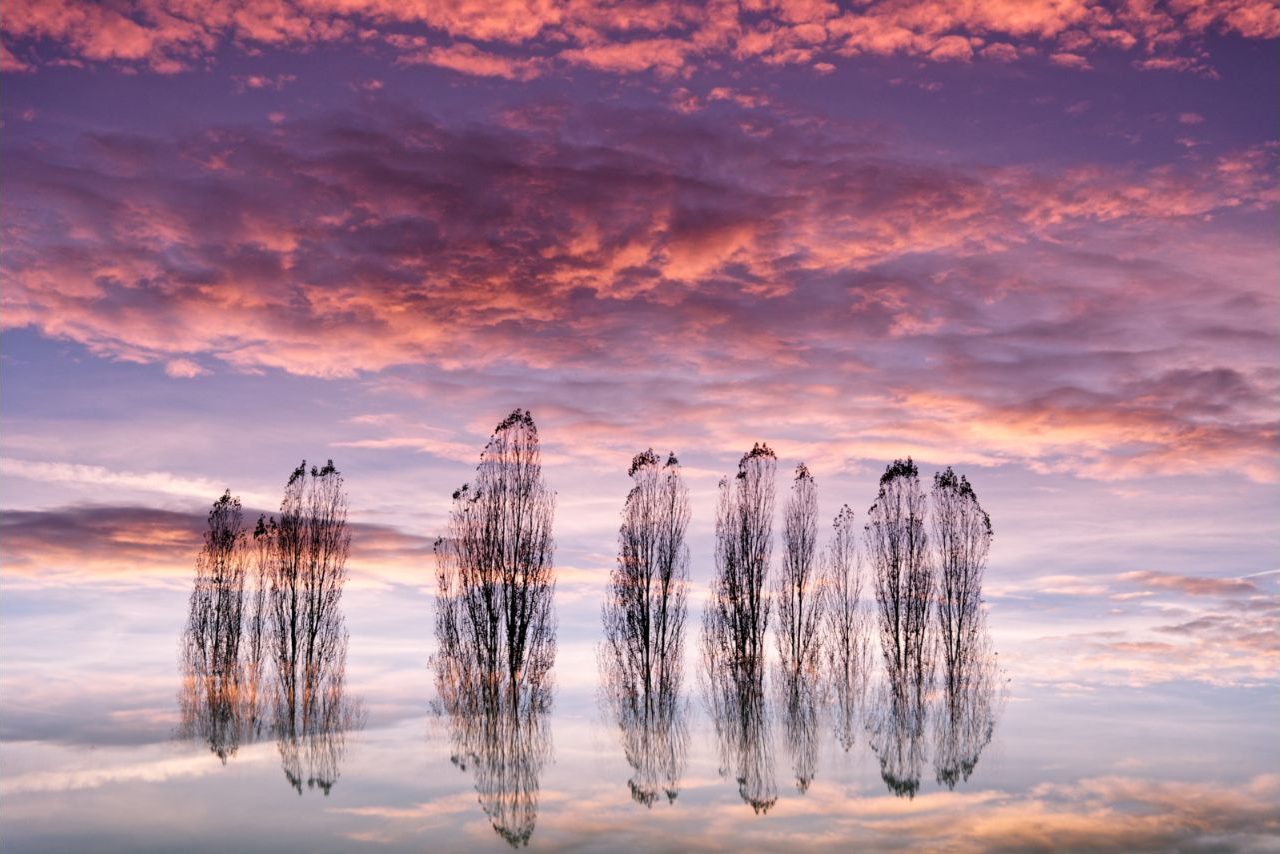 Reflejos @Juan Manuel Cabello
