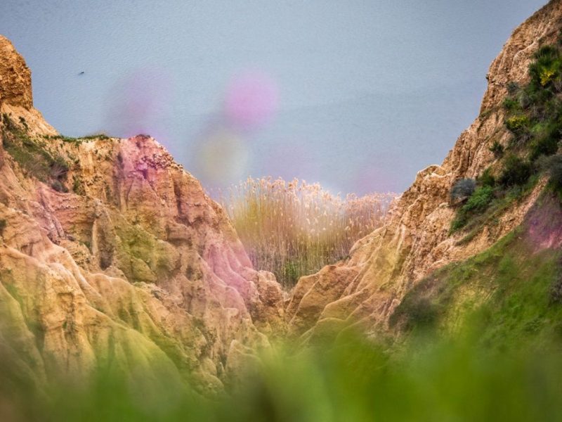 Barrancas de Burujón ©Julián López