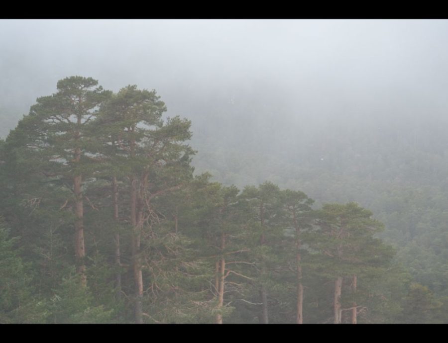 Fotos de Luna en una salida por Navacerrada con los alumnos del IES Jaime Ferrán, organizada por la Fundación Desea
