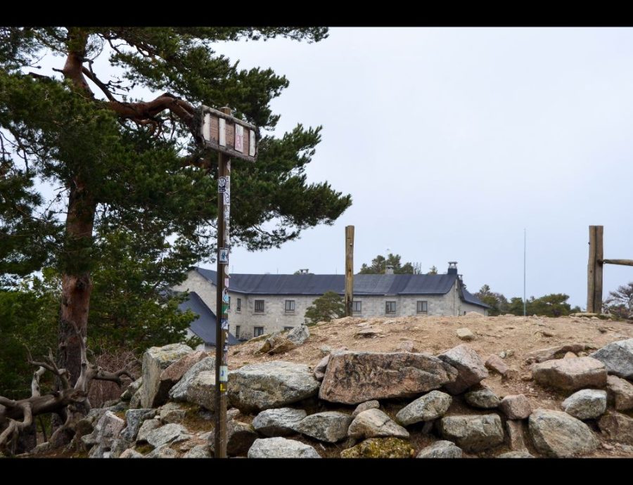Fotos de Luna en una salida por Navacerrada con los alumnos del IES Jaime Ferrán, organizada por la Fundación Desea