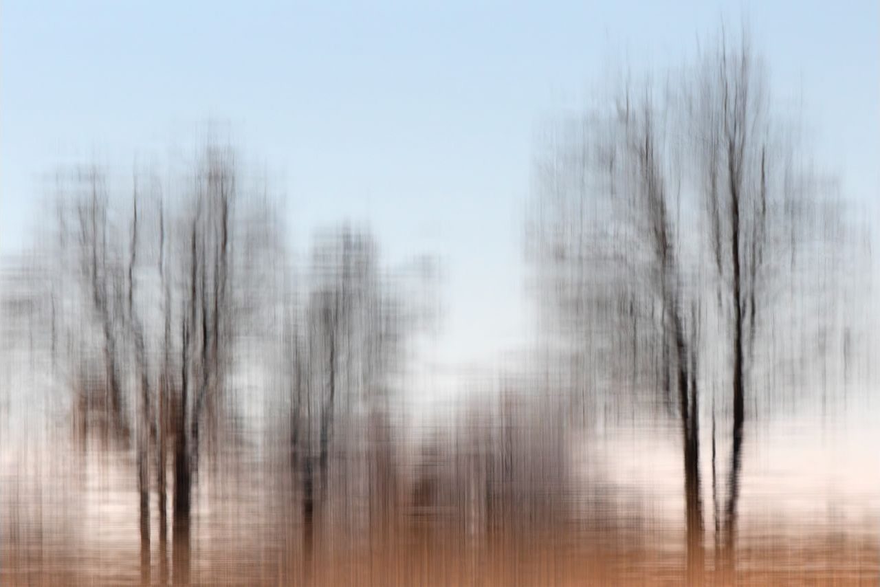 Reflejo de invierno @Miguel Benedicto