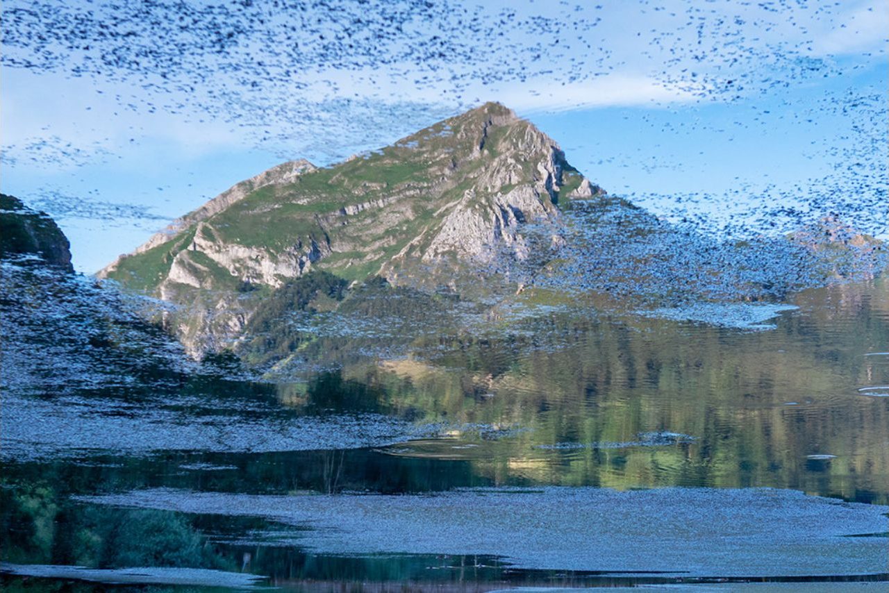 Reflejo invertido @Merce Almoguera