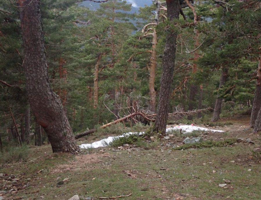 Fotos de Valeria en una salida por Navacerrada con los alumnos del IES Jaime Ferrán, organizada por la Fundación Desea