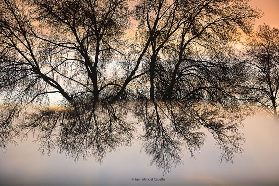 Reflejos ©Juan Manuel Cabello