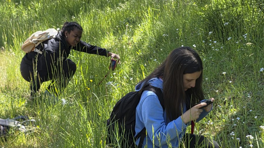En busca de la foto macro