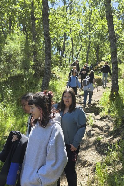 Bosque de la Herrería, camino a la Silla de Felipe II