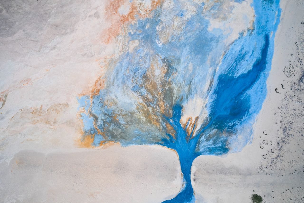 El árbol de la vida