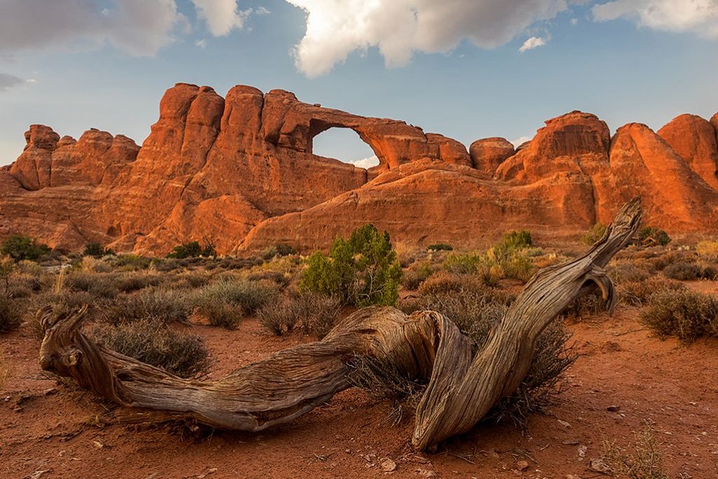 The Arches ©Miguel Benedicto The Arches ©Miguel Benedicto